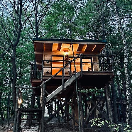 Living Forest Resort มอร์าฟสเก-ตอปลิตเซ ภายนอก รูปภาพ