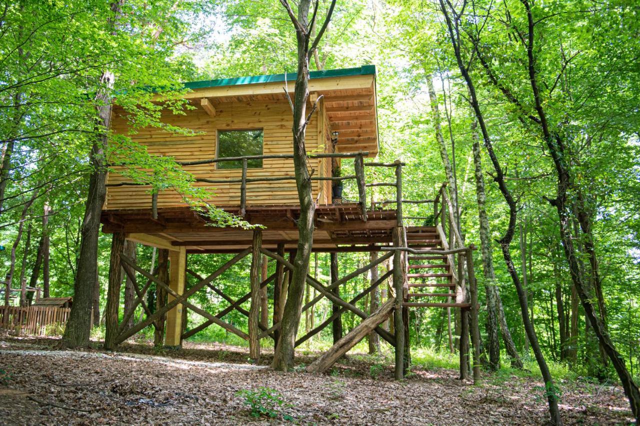 Living Forest Resort มอร์าฟสเก-ตอปลิตเซ ภายนอก รูปภาพ