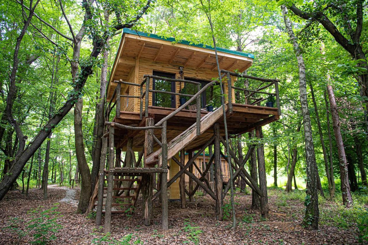 Living Forest Resort มอร์าฟสเก-ตอปลิตเซ ภายนอก รูปภาพ