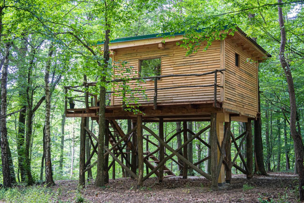 Living Forest Resort มอร์าฟสเก-ตอปลิตเซ ภายนอก รูปภาพ
