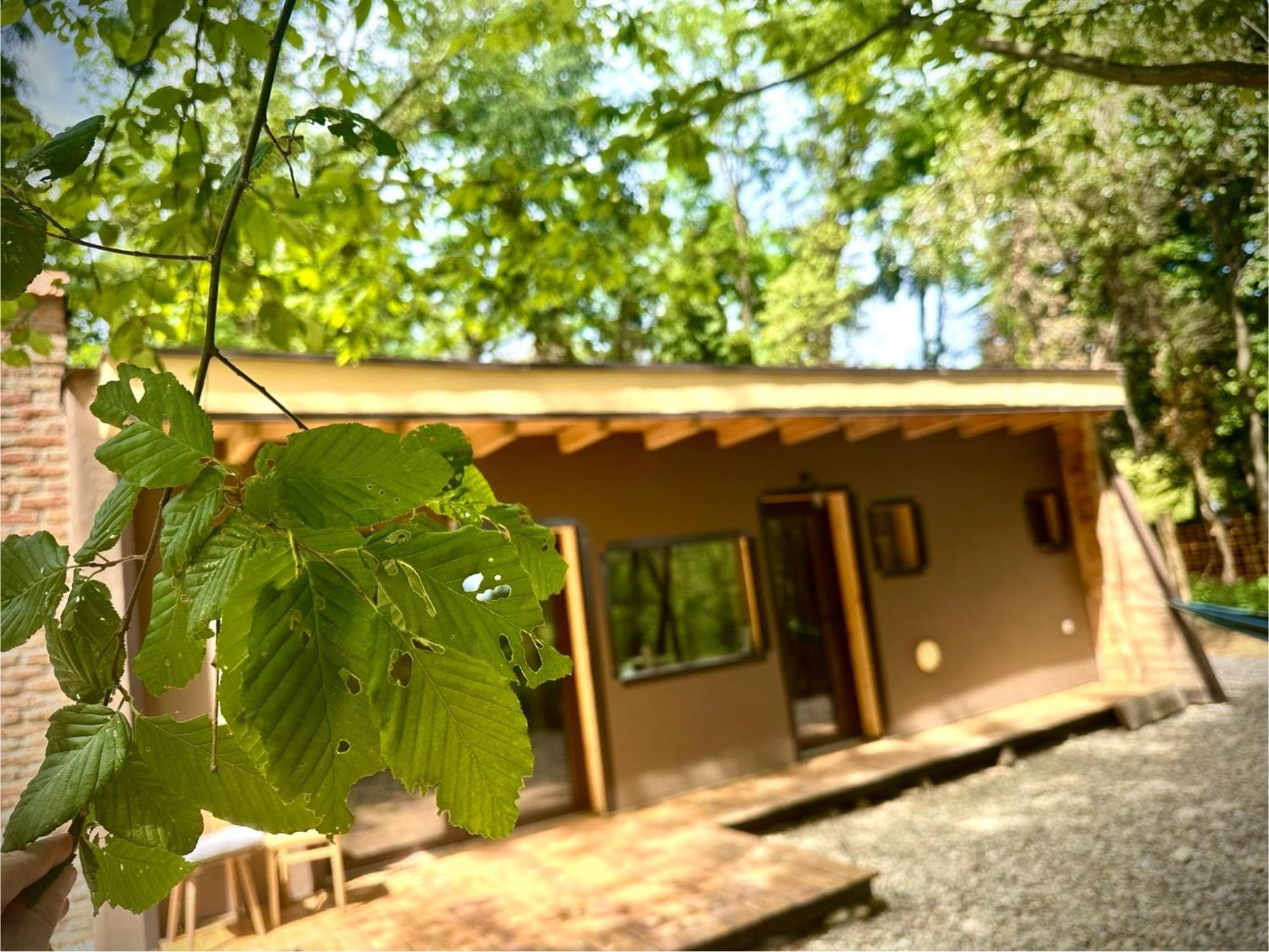 Living Forest Resort มอร์าฟสเก-ตอปลิตเซ ภายนอก รูปภาพ